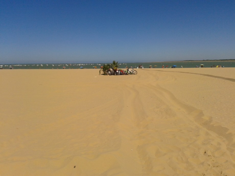 20150724 Las bicicletas son para el verano