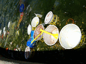 20150824_ANIMATION Fuente del Cabildo