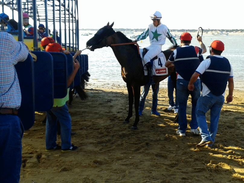 20150826 ANIMATION Encajonando a los caballos