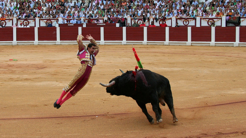 Toros