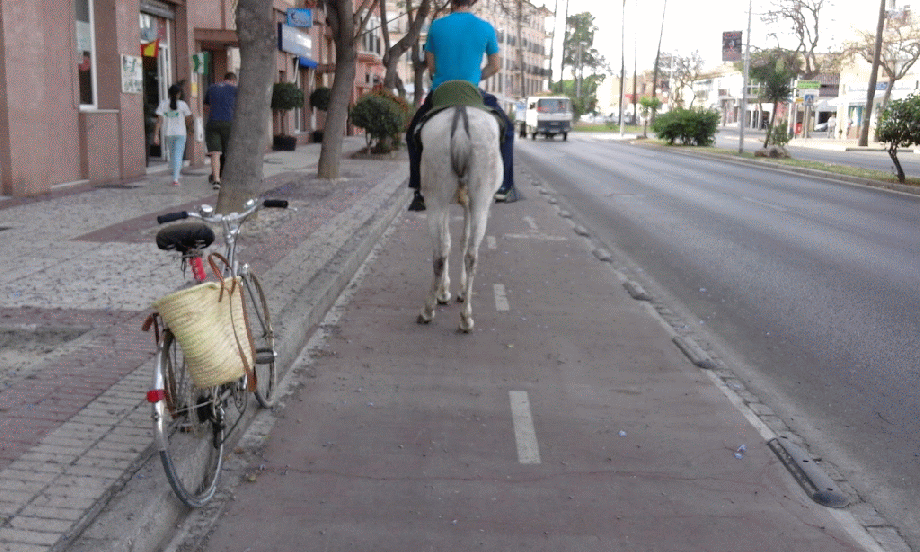 ANIMATION Carril Caballo