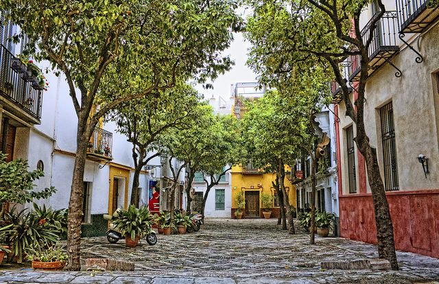 Barrio Santa Cruz Sevilla página traductor jurado