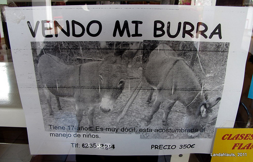 vender la burra