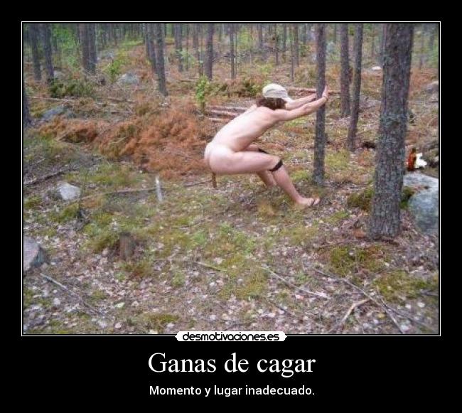 Cagar caca en el campo.jpg