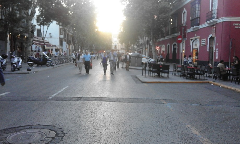 salida de los toros.jpg