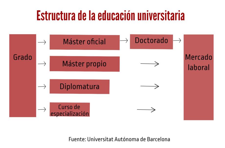 estructura-universitaria